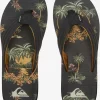 Mens Quiksilver Sandals | Carver Print Sandals