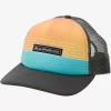 Mens Quiksilver Hats | Emu Coop Trucker Hat