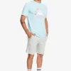 Mens Quiksilver Pants | Essentials Sweat Shorts