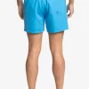 Mens Quiksilver Elastic Waist | Everyday 15