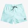 Mens Quiksilver Elastic Waist | Everyday 17