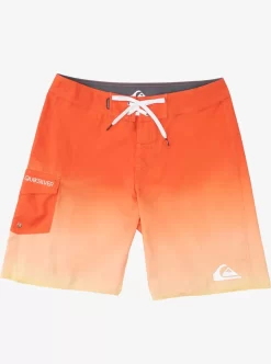 Mens Quiksilver Boardshorts | Everyday 20" Boardshorts