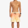 Mens Quiksilver Elastic Waist | Everyday Breeze 17