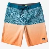 Mens Quiksilver Boardshorts | Everyday Division 20