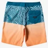 Mens Quiksilver Boardshorts | Everyday Division 20