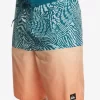 Mens Quiksilver Boardshorts | Everyday Division 20