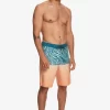 Mens Quiksilver Boardshorts | Everyday Division 20