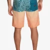 Mens Quiksilver Boardshorts | Everyday Division 20