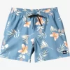 Mens Quiksilver Boardshorts | Everyday Mix 17