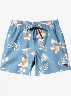 Mens Quiksilver Boardshorts | Everyday Mix 17" Volleys