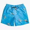 Mens Quiksilver Boardshorts | Everyday Mix 17