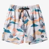 Mens Quiksilver Boardshorts | Everyday Mix 17