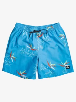 Mens Quiksilver Boardshorts | Everyday Mix 17" Volleys