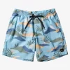 Mens Quiksilver Boardshorts | Everyday Mix 17