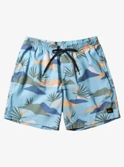 Mens Quiksilver Boardshorts | Everyday Mix 17" Volleys