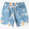 Mens Quiksilver Boardshorts | Everyday Mix 17