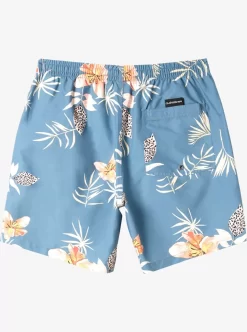 Mens Quiksilver Boardshorts | Everyday Mix 17" Volleys