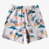 Mens Quiksilver Boardshorts | Everyday Mix 17