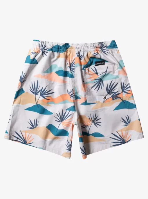 Mens Quiksilver Boardshorts | Everyday Mix 17" Volleys