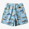 Mens Quiksilver Boardshorts | Everyday Mix 17