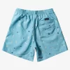 Mens Quiksilver Boardshorts | Everyday Mix 17