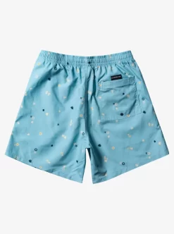 Mens Quiksilver Boardshorts | Everyday Mix 17" Volleys