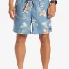 Mens Quiksilver Boardshorts | Everyday Mix 17