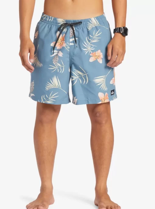 Mens Quiksilver Boardshorts | Everyday Mix 17" Volleys