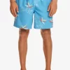 Mens Quiksilver Boardshorts | Everyday Mix 17