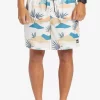 Mens Quiksilver Boardshorts | Everyday Mix 17