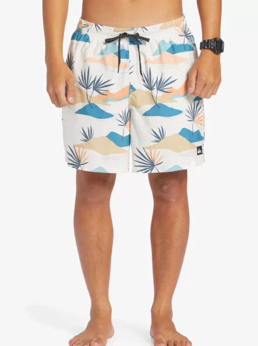 Mens Quiksilver Boardshorts | Everyday Mix 17" Volleys