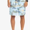 Mens Quiksilver Boardshorts | Everyday Mix 17