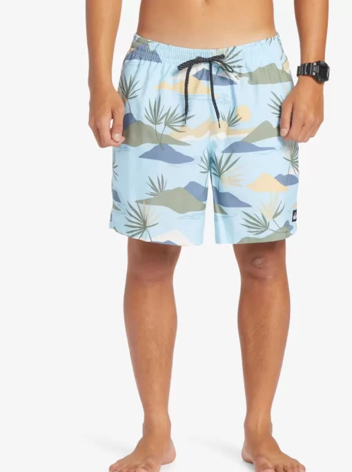 Mens Quiksilver Boardshorts | Everyday Mix 17" Volleys