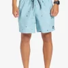 Mens Quiksilver Boardshorts | Everyday Mix 17