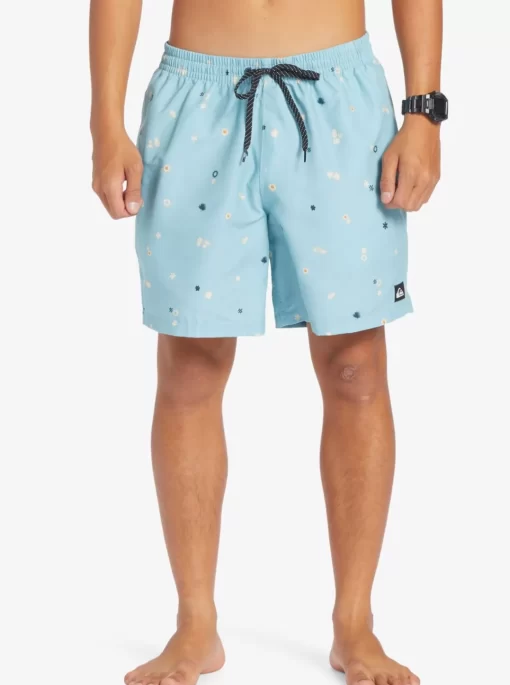 Mens Quiksilver Boardshorts | Everyday Mix 17" Volleys