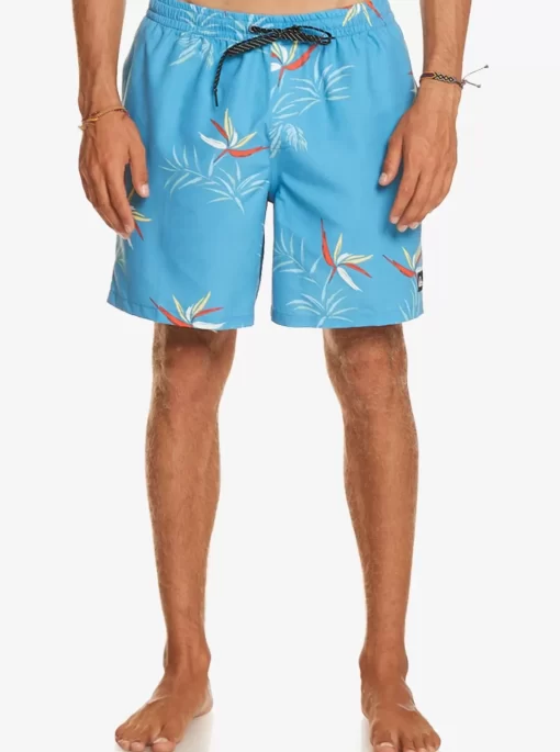 Mens Quiksilver Boardshorts | Everyday Mix 17" Volleys