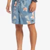 Mens Quiksilver Boardshorts | Everyday Mix 17