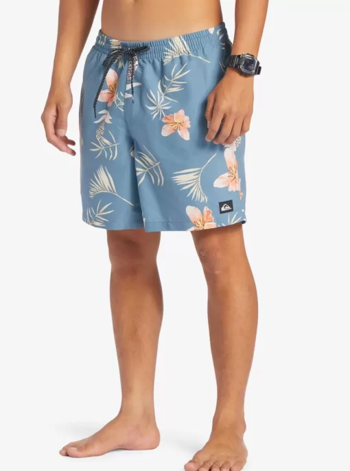 Mens Quiksilver Boardshorts | Everyday Mix 17" Volleys