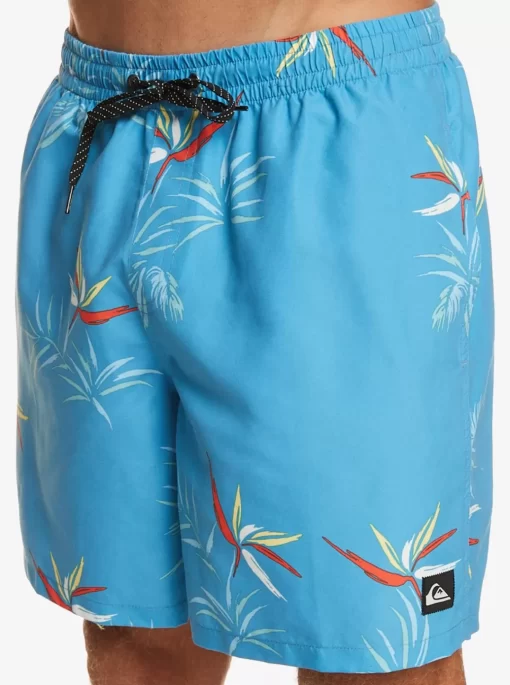 Mens Quiksilver Boardshorts | Everyday Mix 17" Volleys