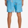 Mens Quiksilver Boardshorts | Everyday Mix 17