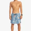 Mens Quiksilver Boardshorts | Everyday Mix 17