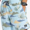 Mens Quiksilver Boardshorts | Everyday Mix 17