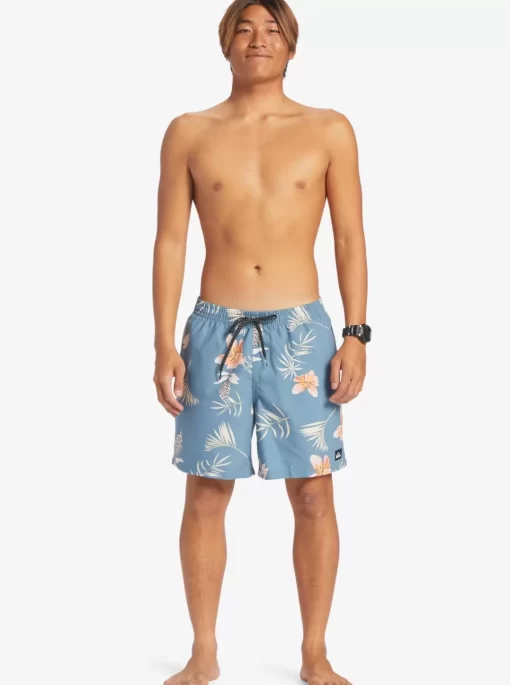 Mens Quiksilver Boardshorts | Everyday Mix 17" Volleys