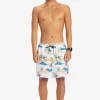 Mens Quiksilver Boardshorts | Everyday Mix 17