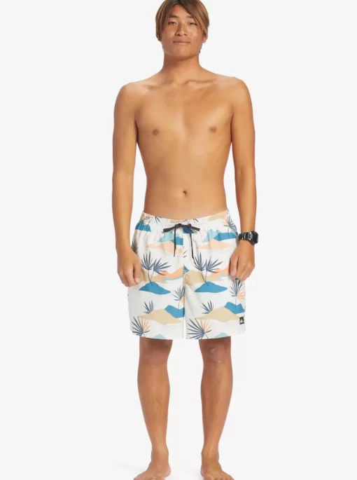 Mens Quiksilver Boardshorts | Everyday Mix 17" Volleys