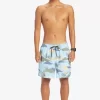 Mens Quiksilver Boardshorts | Everyday Mix 17