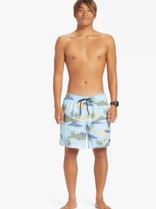 Mens Quiksilver Boardshorts | Everyday Mix 17" Volleys