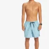 Mens Quiksilver Boardshorts | Everyday Mix 17