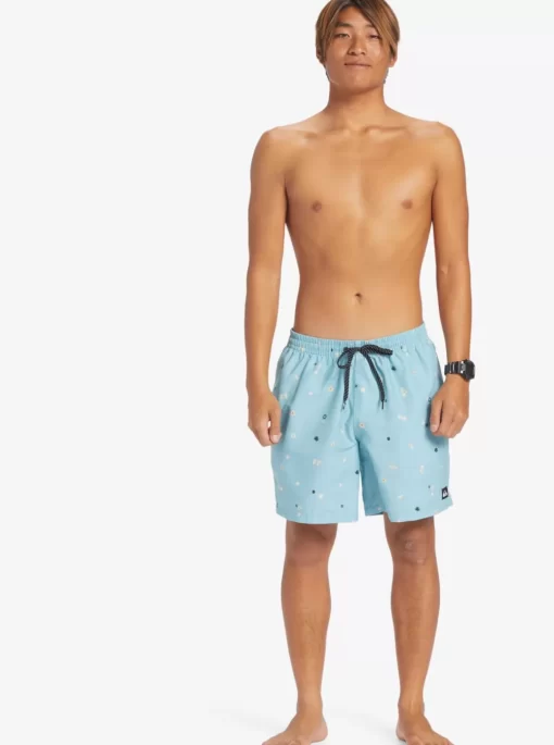 Mens Quiksilver Boardshorts | Everyday Mix 17" Volleys