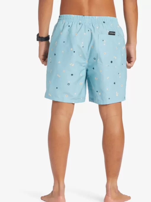 Mens Quiksilver Boardshorts | Everyday Mix 17" Volleys